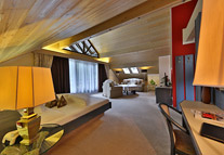 Suite VIP 1